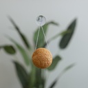 Pure Sol. Face Buff Turmeric Konjac Face Sponge