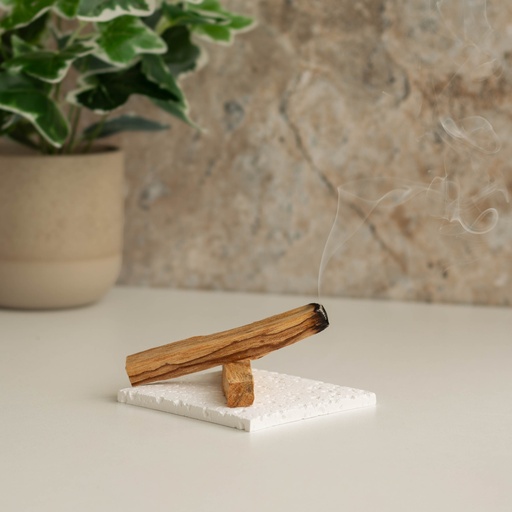 [ALI 75219] Natural Smudge Stick 