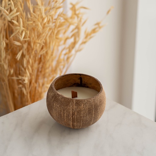 [ALI 0156] Coconut Shell Aromatherapy Candle